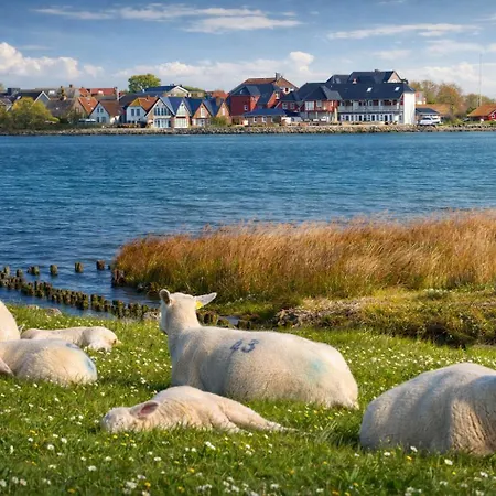 Ort Lemkenhafen Segler